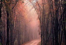 tk体育:国足两将糟糕表现,伊万不启用塞尔吉尼奥引发球迷抱怨.