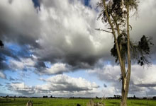 tk体育:U19女篮世界杯分组揭晓 中国队与加拿大、葡萄牙等队同组2025-02-06.